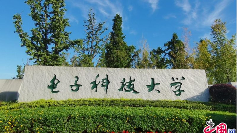 揭秘上海电子元器件清单：关键参数与选购要点