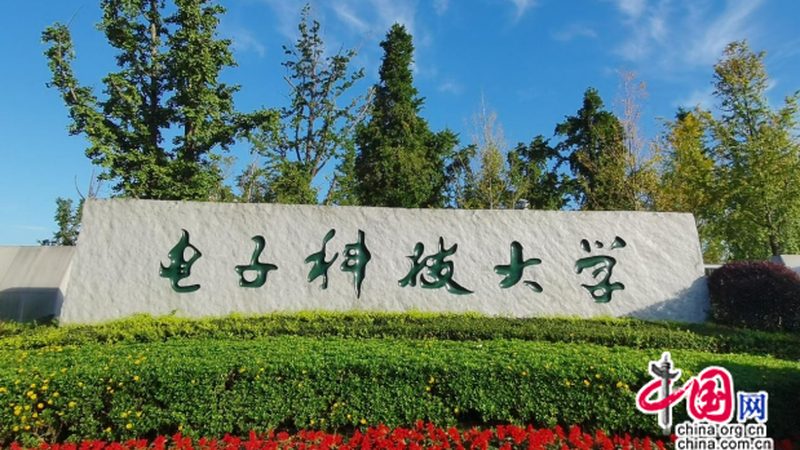 成都物联网电子模块：揭秘其报价背后的技术考量